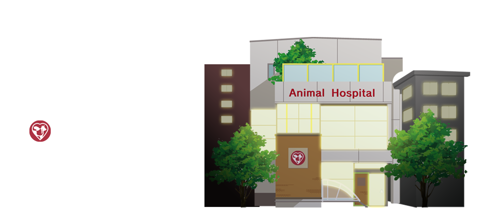 大分小動物病院