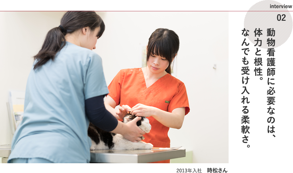 動物看護師インタビュー（2013年入社 時松さん）｜犬・猫の一般診療、眼科専門治療なら大分小動物病院へ