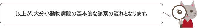 以上が、大分小動物病院の基本的な診察の流れとなります。