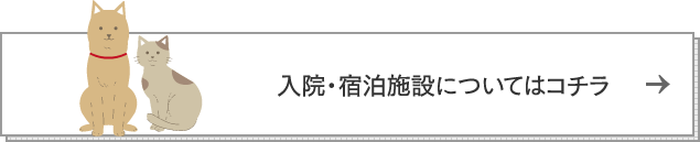 入院・宿泊施設についてはコチラ